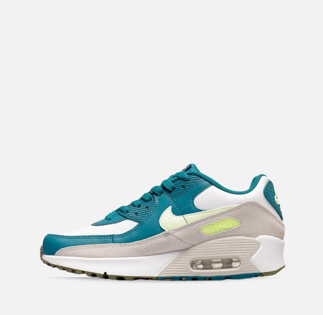 Pantofi sport Nike Air Max 90 LTR CD6864-124