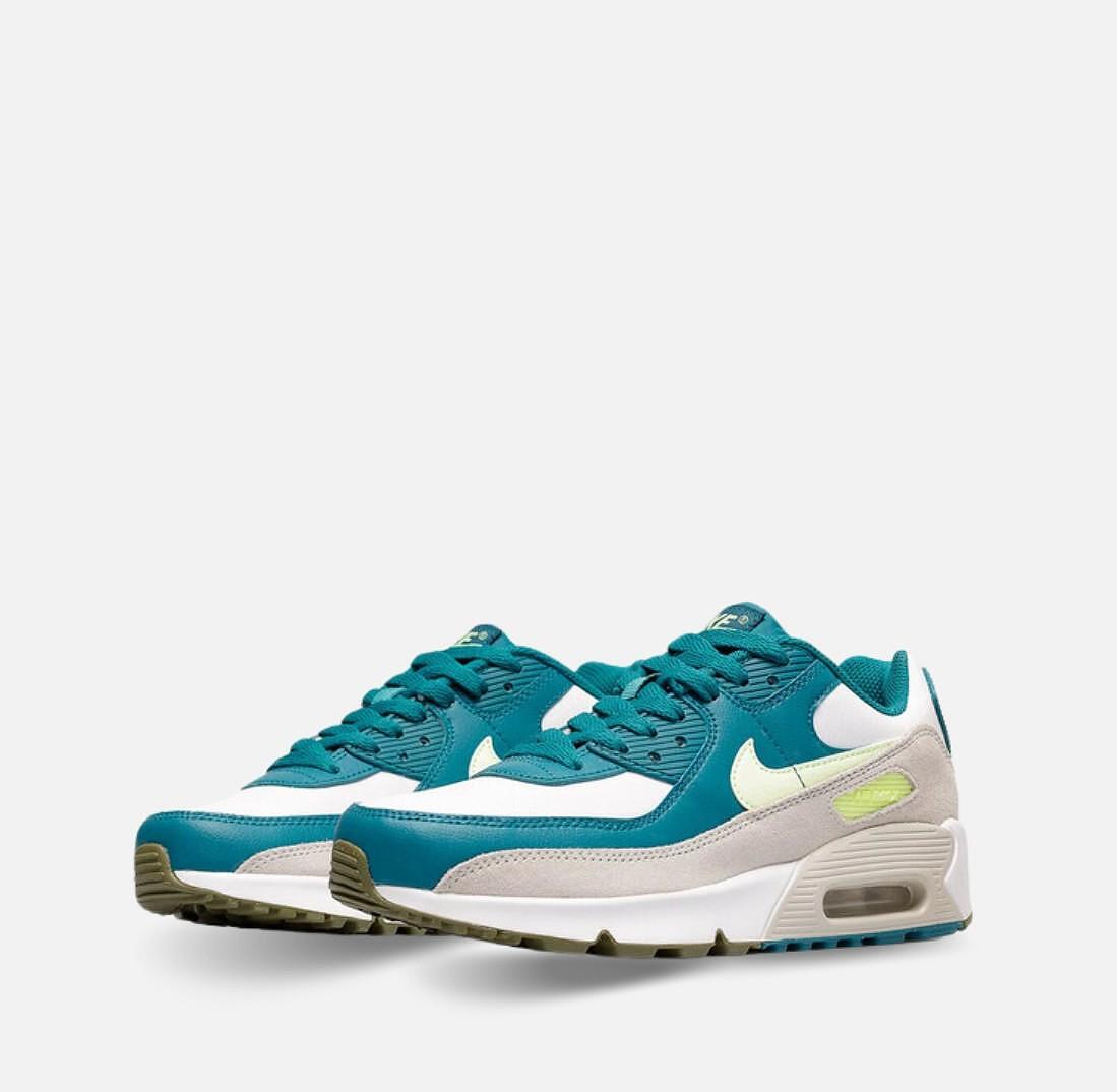 Pantofi sport Nike Air Max 90 LTR CD6864-124