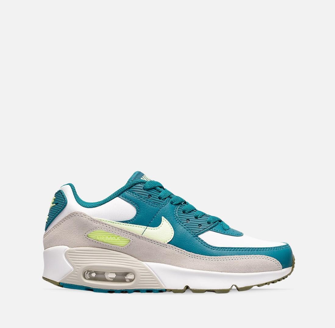 Pantofi sport Nike Air Max 90 LTR CD6864-124